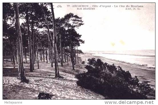 Cpa Arcachon , Côte D'Argent , Côte Du Moulleau Aux Abatilles (33) - Arcachon