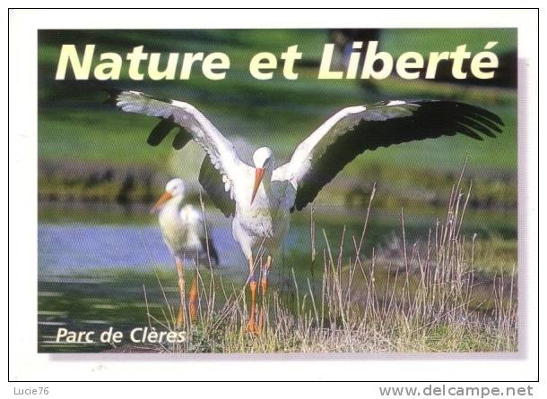 CLERES -  PARC ZOOLOGIQUE - Nature Et Liberté - Cigognes - Clères