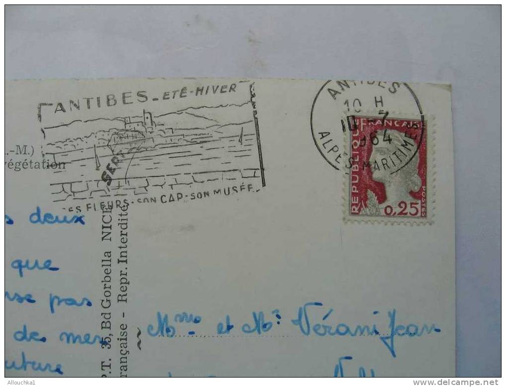 CARTE POSTALE DE FRANCE ALPES MARITIMES  06 COTE D AZUR  ANTIBES BORD DE MER VEGETATION EXOTIQUE 1964 - Antibes - Oude Stad