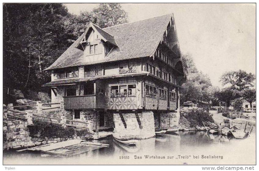 Das Wirtshaus Zur "Treib" Bei Seelisberg - Seelisberg