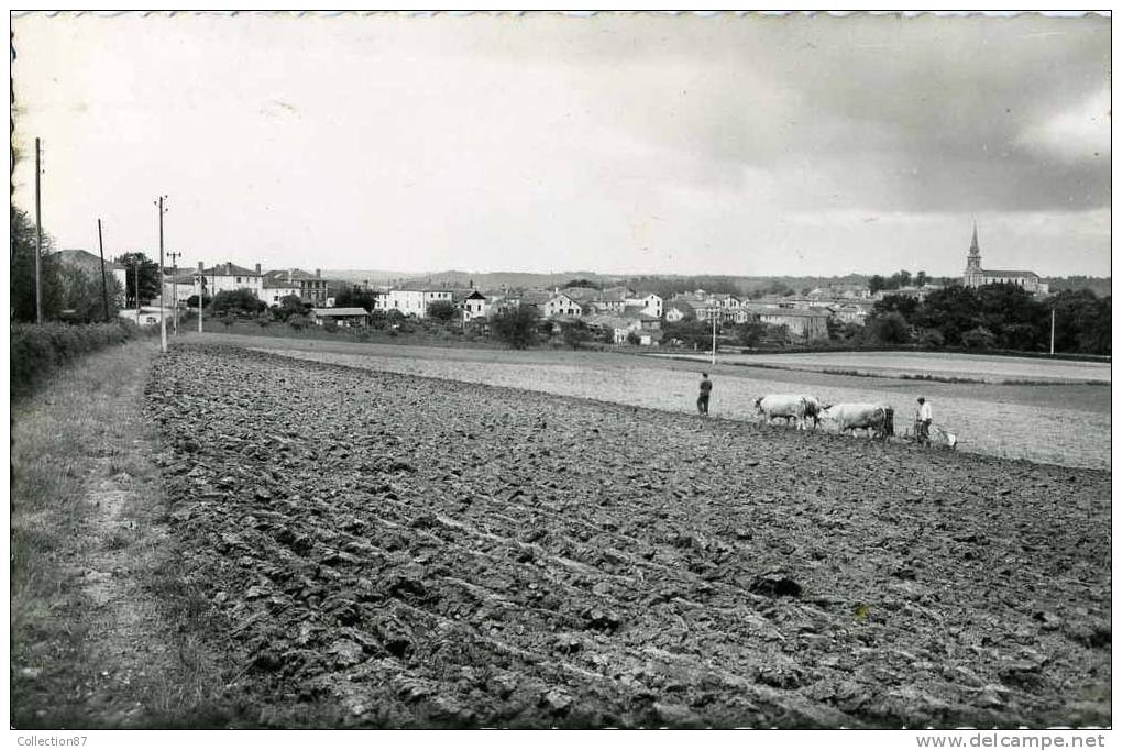 64 - PYRENEES ATLANTIQUES - BIDACHE - BELLE VUE D'ENSEMBLE - SCENE De LABOUR - LABOURAGE - CPSM 9X14 - Bidache