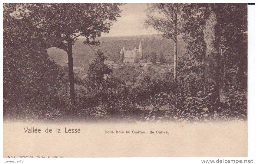 VALLEE DE LA LESSE - SOUS BOIS AU CHATEAU DE CELLES - Houyet