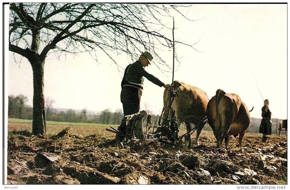 SCENE  DE LABOUR - Equipaggiamenti