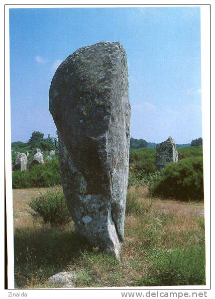 CARTE POSTALE DE CARNAC - ALIGNEMENTS DU MENEC - Dolmen & Menhire