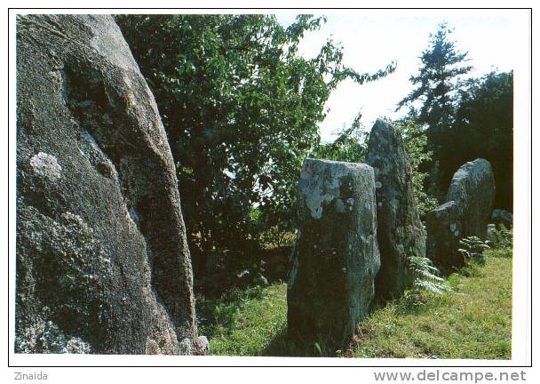 CARTE POSTALE DE CARNAC - ENCEINTE MEGALITHIQUE DU MENEC - Dolmen & Menhirs