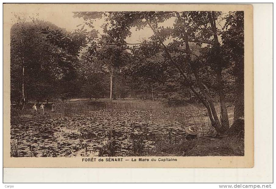 FORET DE SENART - La Mare Du Capitaine. - Sénart