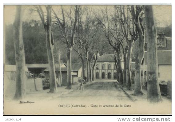 D 332 /CPA ORBEC (calvados)      LA  GARE ET AVENUE DE LA GARE - Orbec