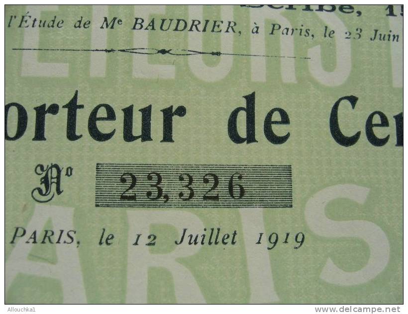 SCRIPOPHILIE COLLECTIONNEURS D´ACTIONS /TITRES De BOURSE PERIMES LES AFFRETEURS REUNIS 1919 100 F PORTEUR TRAIN BATEAU - Industrie