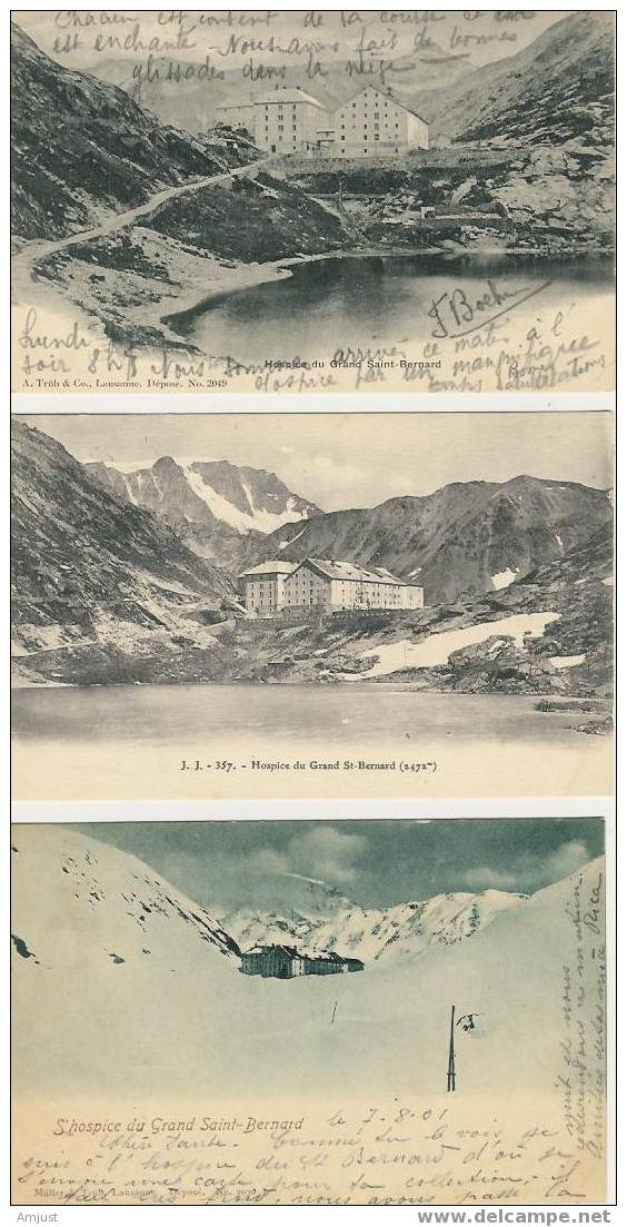 Canton Du Valais  Hospice Du Grand St.Bernard  Lot De 8 Cartes - Other & Unclassified