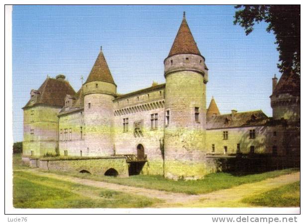 Château  Du  SENDAT   à 4 Kms De CASTELJALOUX - Casteljaloux