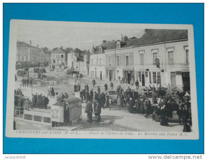 49) Chalonnes Sur Loire - Le Marché Aux Porcs - Place De L'hotel De Ville  - Année   - Edit H.C - Chalonnes Sur Loire