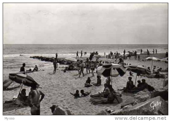 13 LES SAINTES MARIES DE LA MER La Plage - Autres & Non Classés