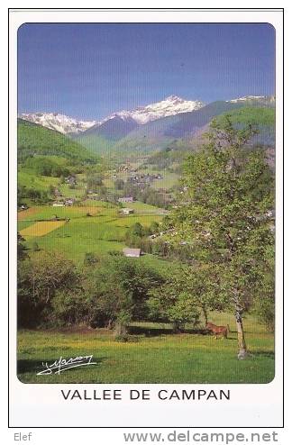 Les Vallées De CAMPAN Et De LESPONNE; Le Pic De Montaigu (Hautes-Pyrénées) ; TB - Campan