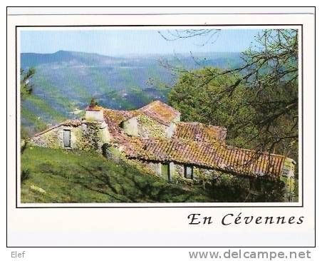 Ferme Dans Les Cévennes , Gard : Un Vieux Mas Cévenol  ,TB - Fermes