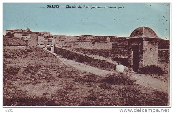 Dép 66 - J58 - Salses - Chemin Du Fort ( Monument Historique )  -  état - Salses