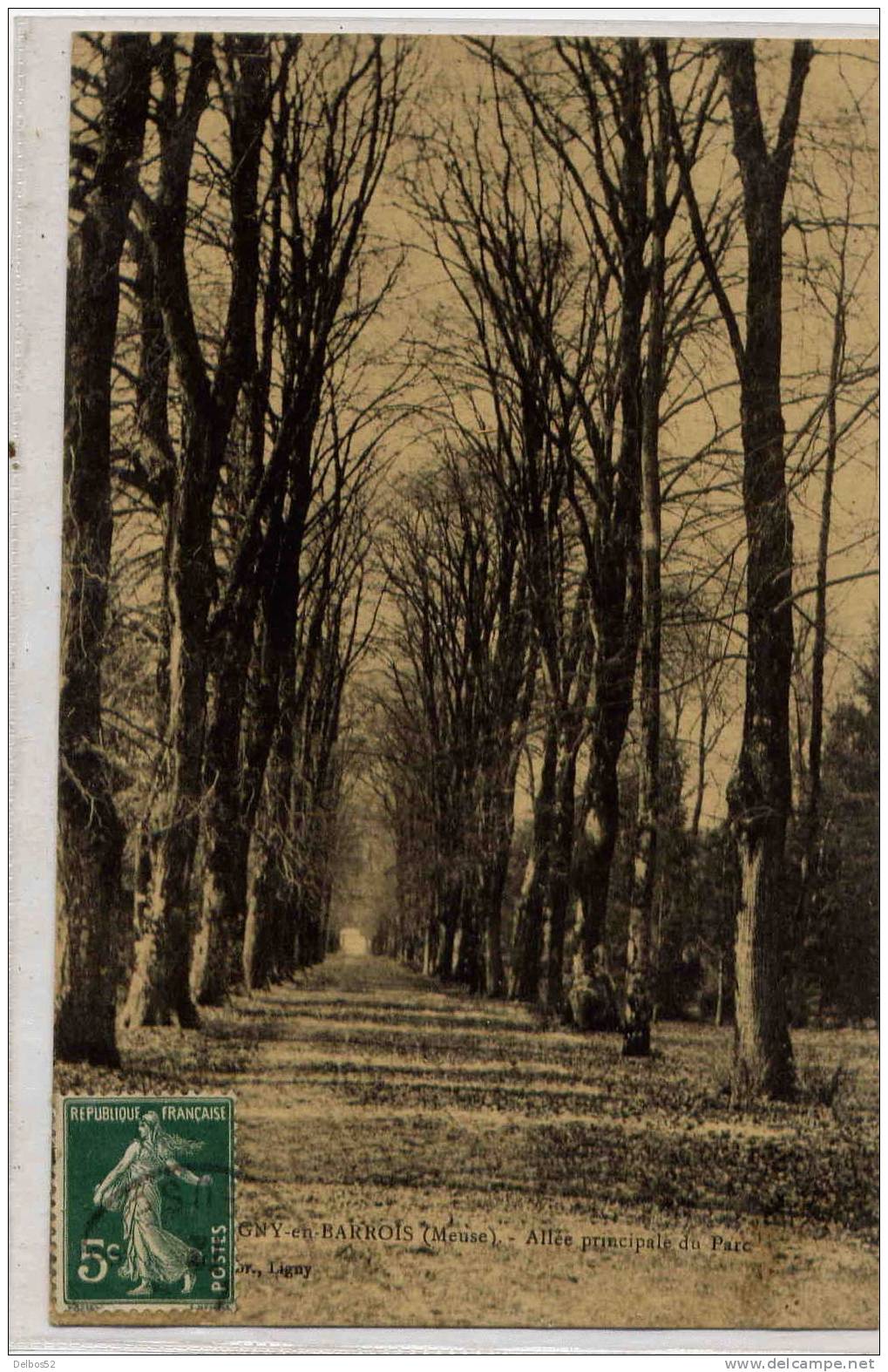 Ligny-en-barrois - Alle Principale Du Parc - Ligny En Barrois