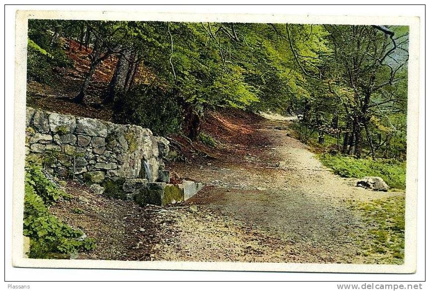 Sainte Baume - Fontaine De Nans - St Zacharie - St Maximin ( Var ) - Hotellerie - Saint-Maximin-la-Sainte-Baume