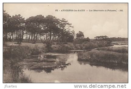 33 - ANDERNOS LES BAINS - Les Réservoirs à Poissons - Andernos-les-Bains