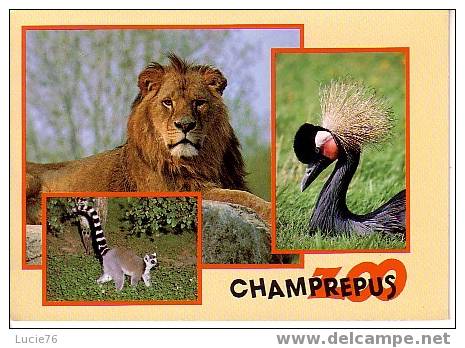 VILLEDIEU LES POELES  - CHAMPREPUS - Parc Zoologique : Lion, Grue Couronnée, Maki Catta - Villedieu