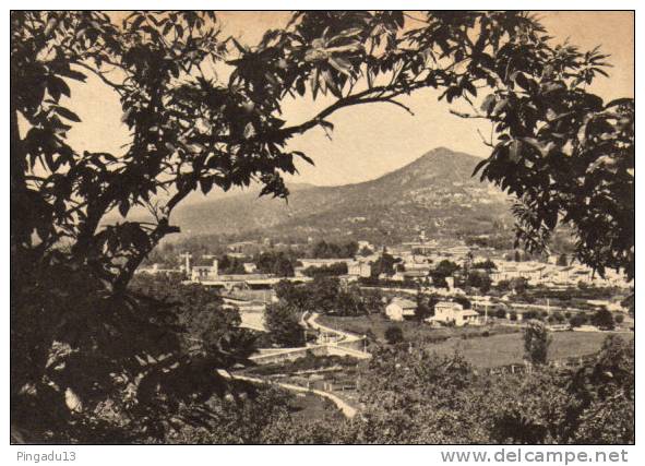 Vue à Travers Les Châtaigniers - Saint-Jean-du-Gard