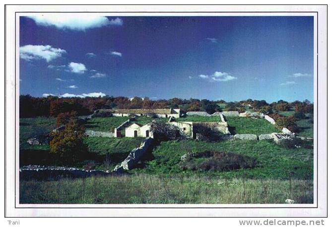 JAZZO DEL "TERMITE" - Ruvo Di Puglia - Dolmen & Menhirs