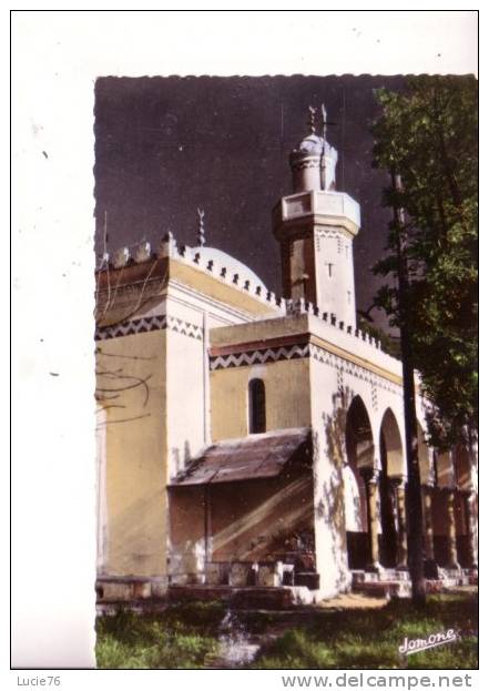 TIZI OUZOU  - La Mosquée - Tizi Ouzou