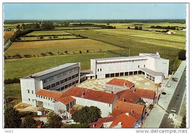 Dép 17 - J230 - Ecole - Pont L´Abbé D´Arnoult - Les écoles - Semi Moderne Grand Format - Bon état - Pont-l'Abbé-d'Arnoult