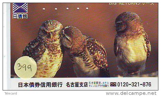 Owl HIBOU Chouette Uil Eule Buho (399) - Águilas & Aves De Presa