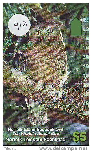 Owl HIBOU Chouette Uil Eule Buho (419) - Águilas & Aves De Presa