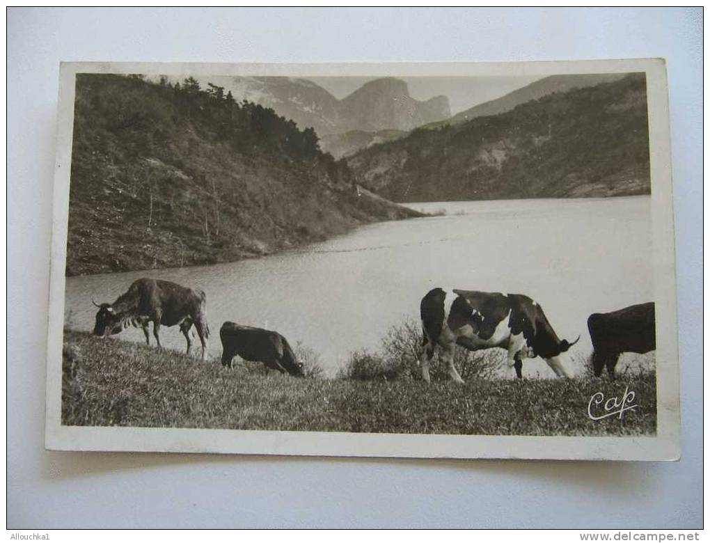 CARTE POSTALE DE FRANCE DEPARTEMENT DE L 'ISERE  38  DE CORPS UN COIN DU LAC SAUTET &  VACHES - Corps