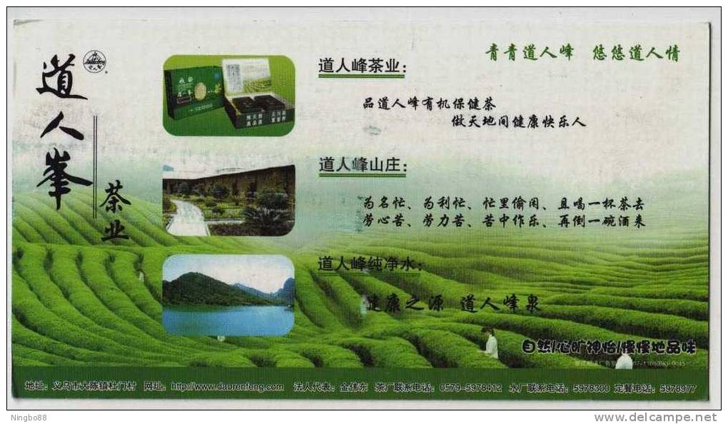 Tea Field Tea Picking,China 2007 Yiwu Daorenfeng Green Tea Advertising Postal Stationery Card - Other & Unclassified