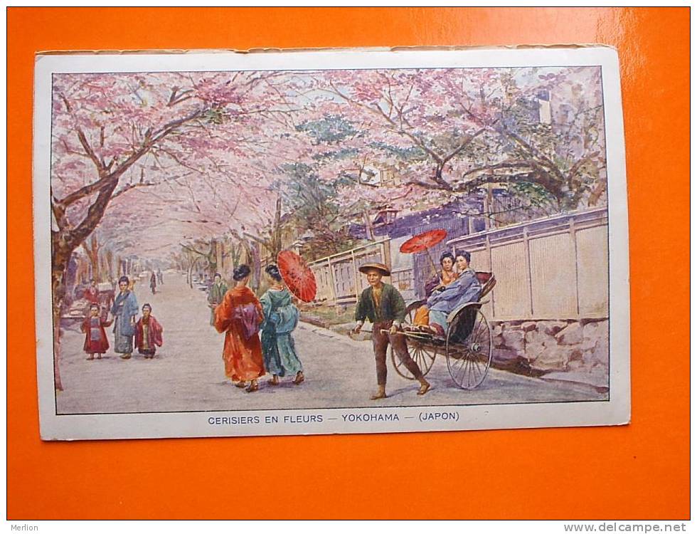 Cherry Trees Blooming YOKOHAMA , Street Scene , Japan Japon Cca 1920-  D2072 - Yokohama