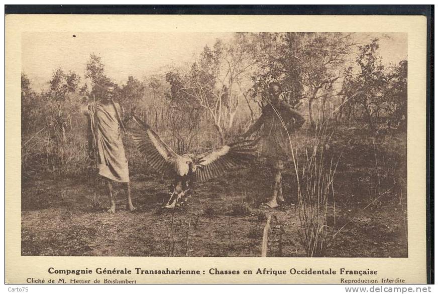 AFRIQUE - Compagnie Générale Transsaharienne - Chasses En Afrique Occidentale Française - Guinée