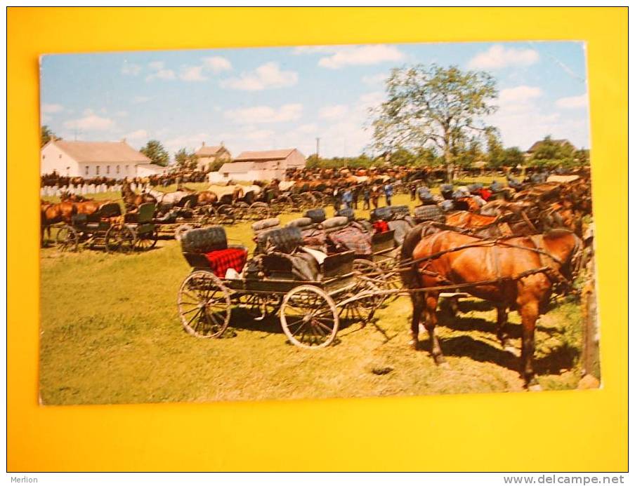 Ktichener-Waterloo Ontario Mennonite Meeting House Horses 1970    D2260 - Toronto