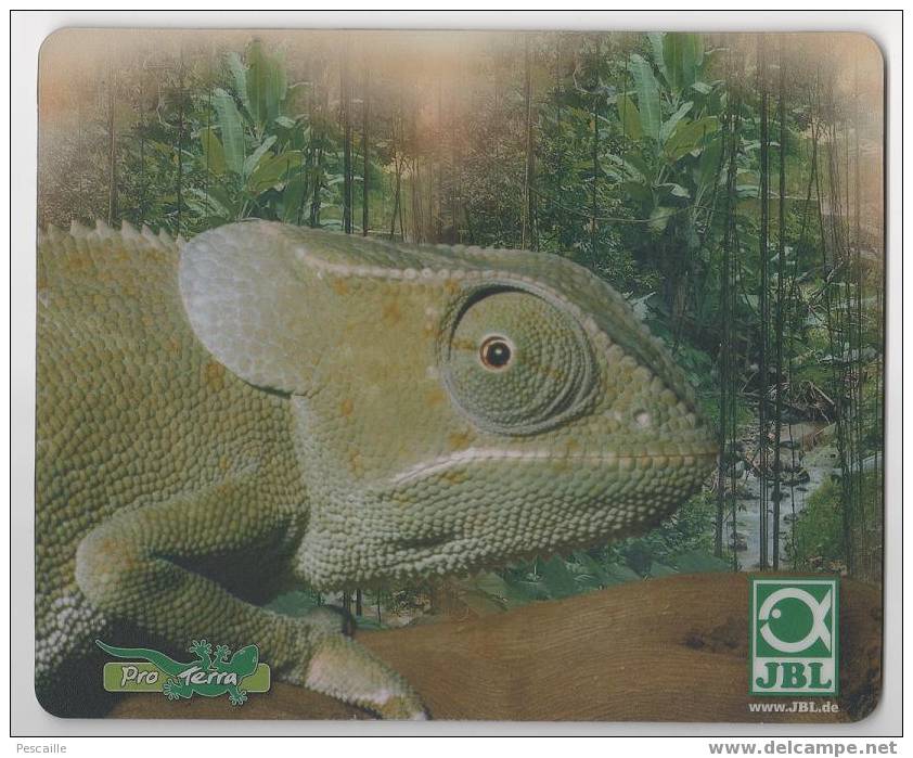 Tapis De Souris JBL Pro Terra Produits De Soins Pour Reptiles - Andere & Zonder Classificatie