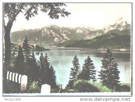 Weissensee Bei Füssen - Ansichtskarte Unbeschriftet / Postcard Mint (I841) - Füssen