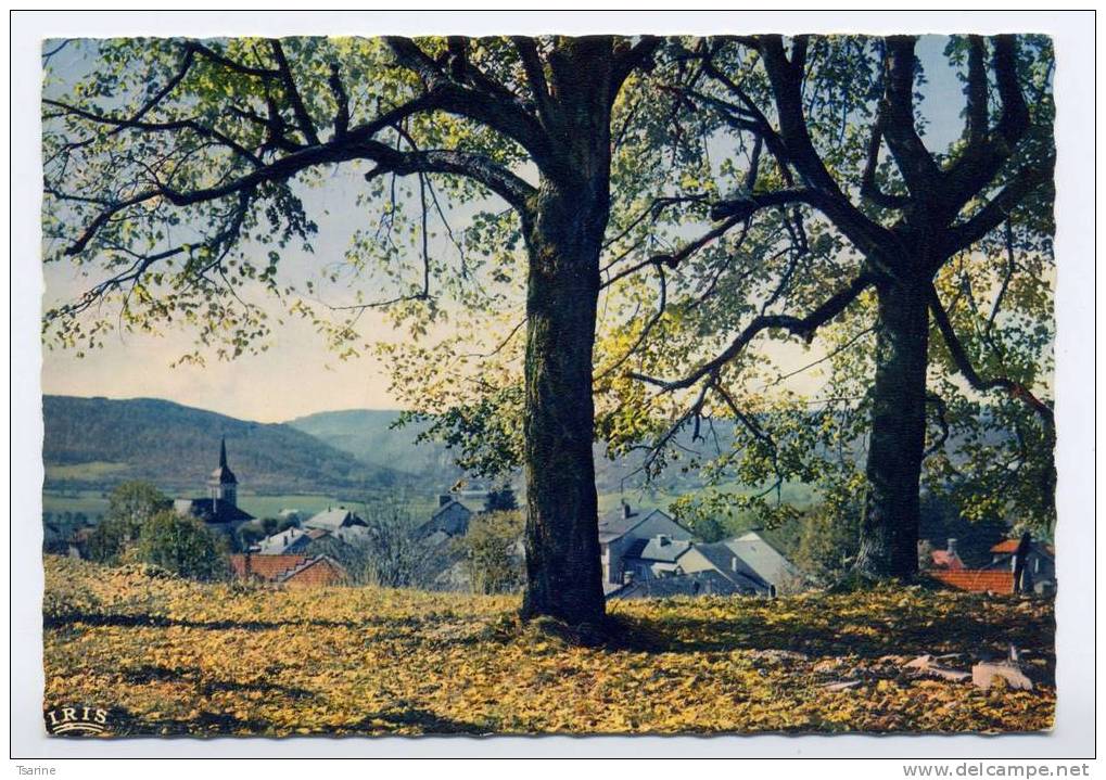 01 - Vue Générale De Hauteville-lompnes - Hauteville-Lompnes