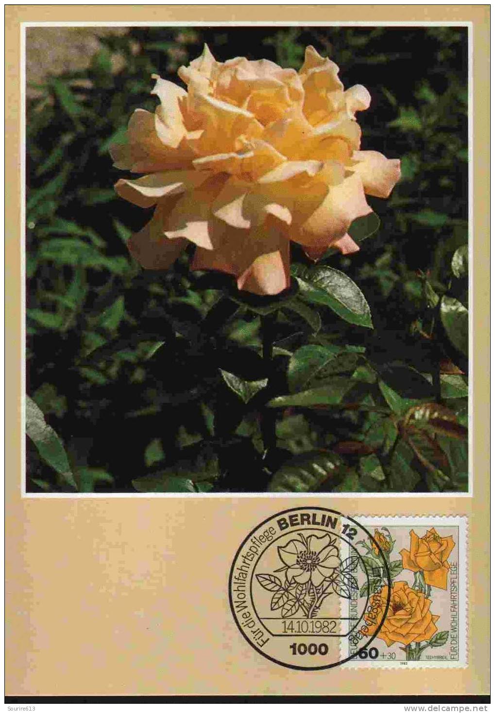 CPJ Allemagne 1982 Fleurs Roses Teehybride - Roses