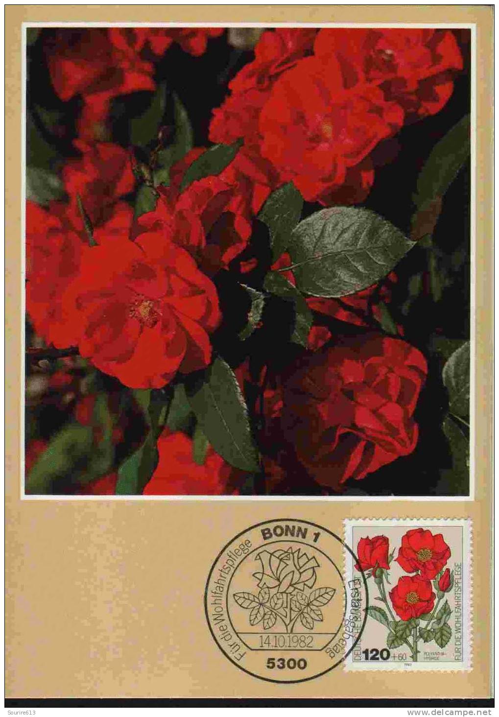 CPJ Allemagne 1982 Fleurs Roses Polyantha Hybride - Roses