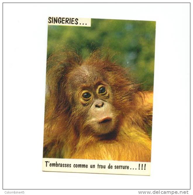 Cpm Singe Monkey - Singes