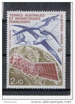 TAAF - Serie Completa Nuova: Albatros - Unused Stamps