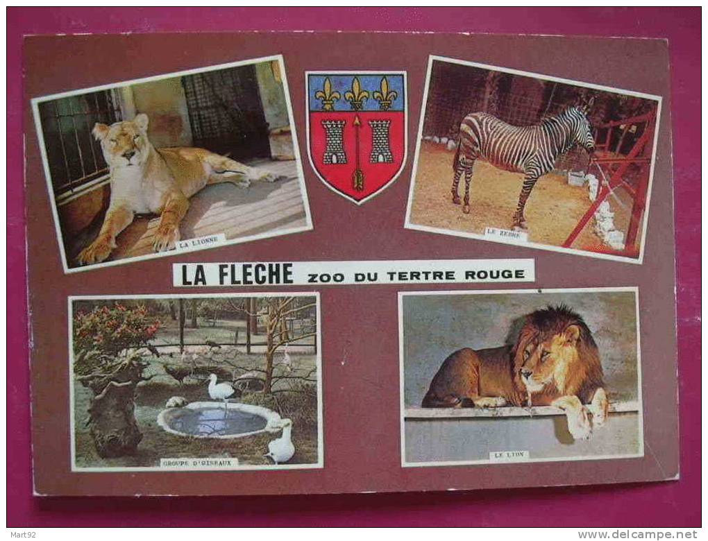 72 LA FLECHE ZOO DU TERTRE ROUGE  VUES DIVERSES - Autres & Non Classés