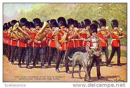 THE IRISH GUARDS WITH THEIR MASCOT  REF1336 - Andere & Zonder Classificatie