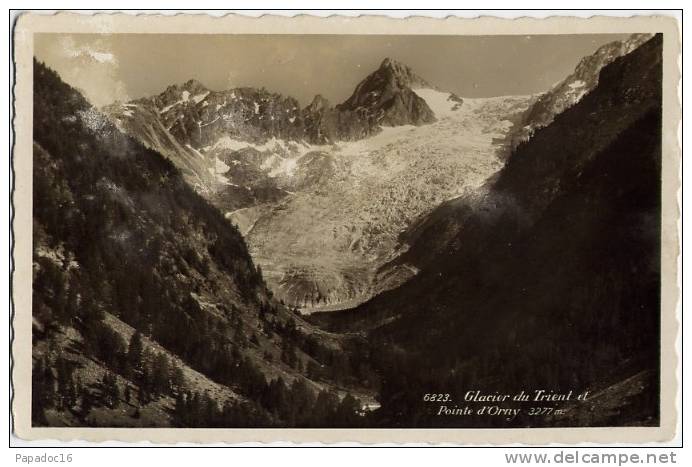 CH - VS - Glacier Du Trient Et Pointe D´Orny 3277 M - CPSM - Trient