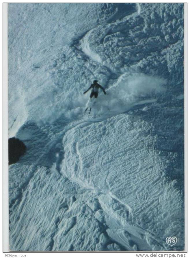 Ivresse D'une Descente Dans La Poudreuse - Ski - Skieur - Alpinisme