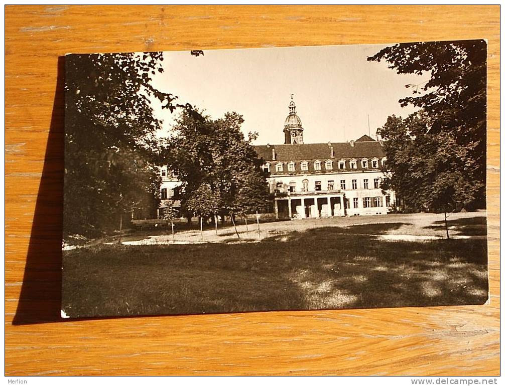 Sondershausen Thüringia Schloss  1950-  D2501 - Sondershausen