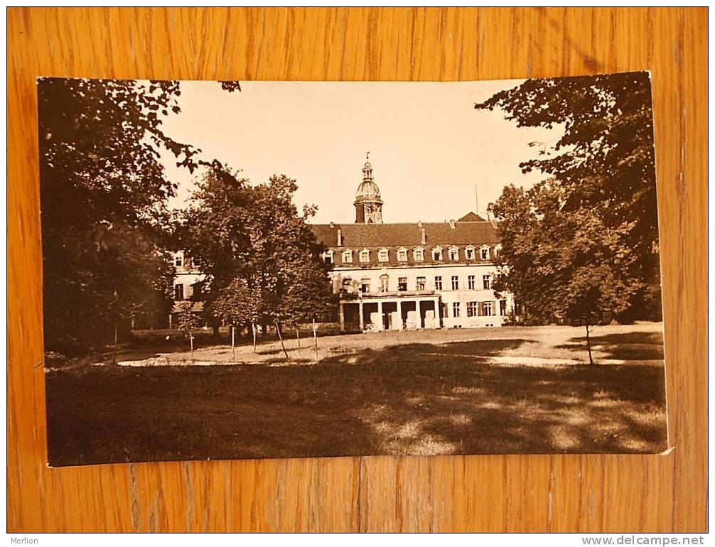 Sondershausen  Schloss 1957 FOTO-AK D2508 - Sondershausen