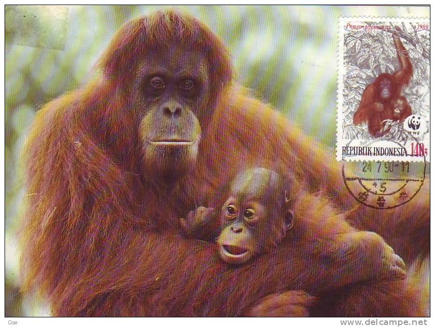 INDONESIA 1990 - CM - FDC - Annullo Speciale Illustrato -- WWF - Gorilla - Gorilles