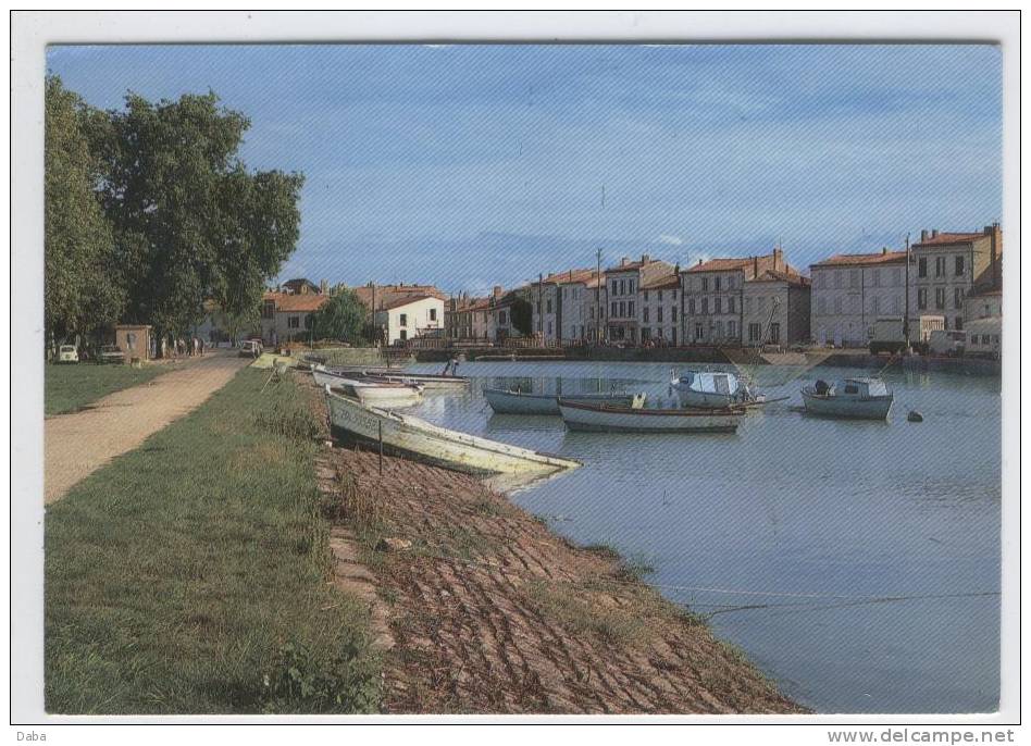 SAUJON. 16. LE PORT DE RIBEROU - Saujon