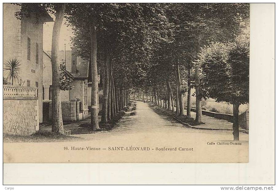 SAINT LEONARD DE NOBLAT. - Boulevard Carnot. - Saint Leonard De Noblat